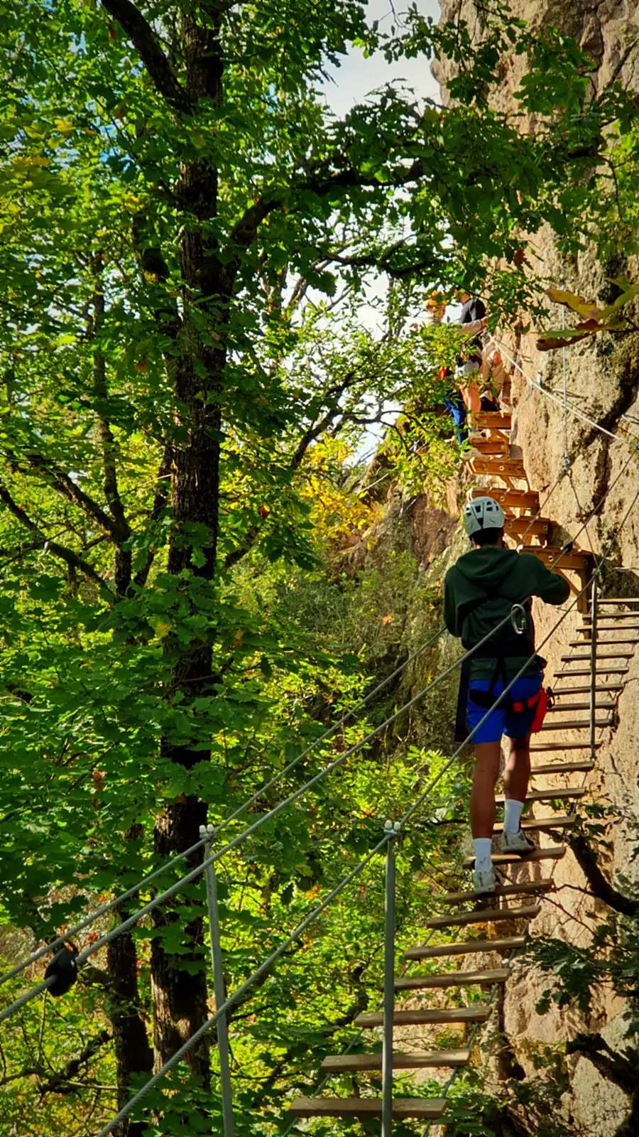 Via ferrata à flanc de falaise dans les arbres